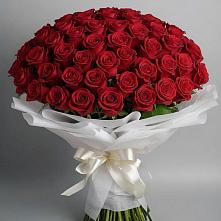 Букет 101 Красная роза Блэк Мэджик #REPLACE_PRED# Койгородке
