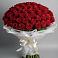 Букет 101 Красная роза Блэк Мэджик в Койгородке