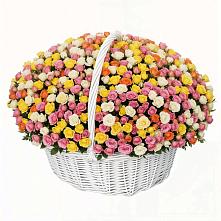 Премиум букет из: Розы #REPLACE_PRED# Койгородке