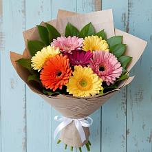 Букет цветов из:  Герберы в Койгородке