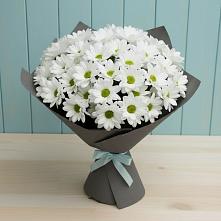 Букет цветов из:  Хризантемы #REPLACE_PRED# Койгородке