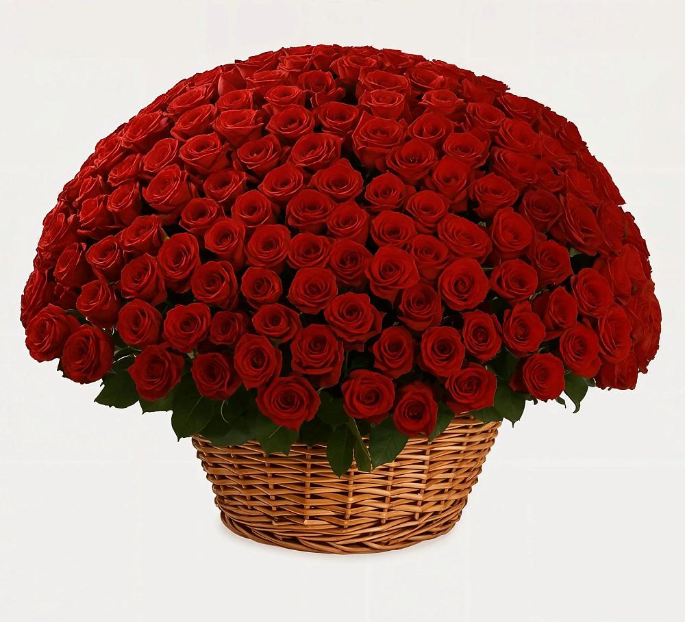 Премиум букет из: Розы в Койгородке