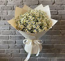 Букет цветов из:  Ромашки #REPLACE_PRED# Койгородке