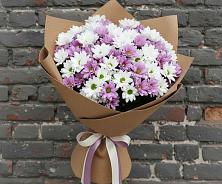 Букет цветов из:  Хризантемы #REPLACE_PRED# Койгородке