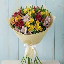 Букет цветов из:  Альстромерии в Койгородке