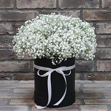 Цветочная композиция из Гипсофила в шляпной коробке в Койгородке