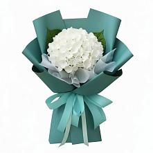 Букет цветов из:  Гортензия #REPLACE_PRED# Койгородке